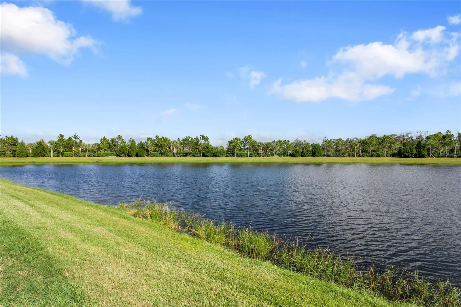 10625 FALLING LEAF CT — photo 35