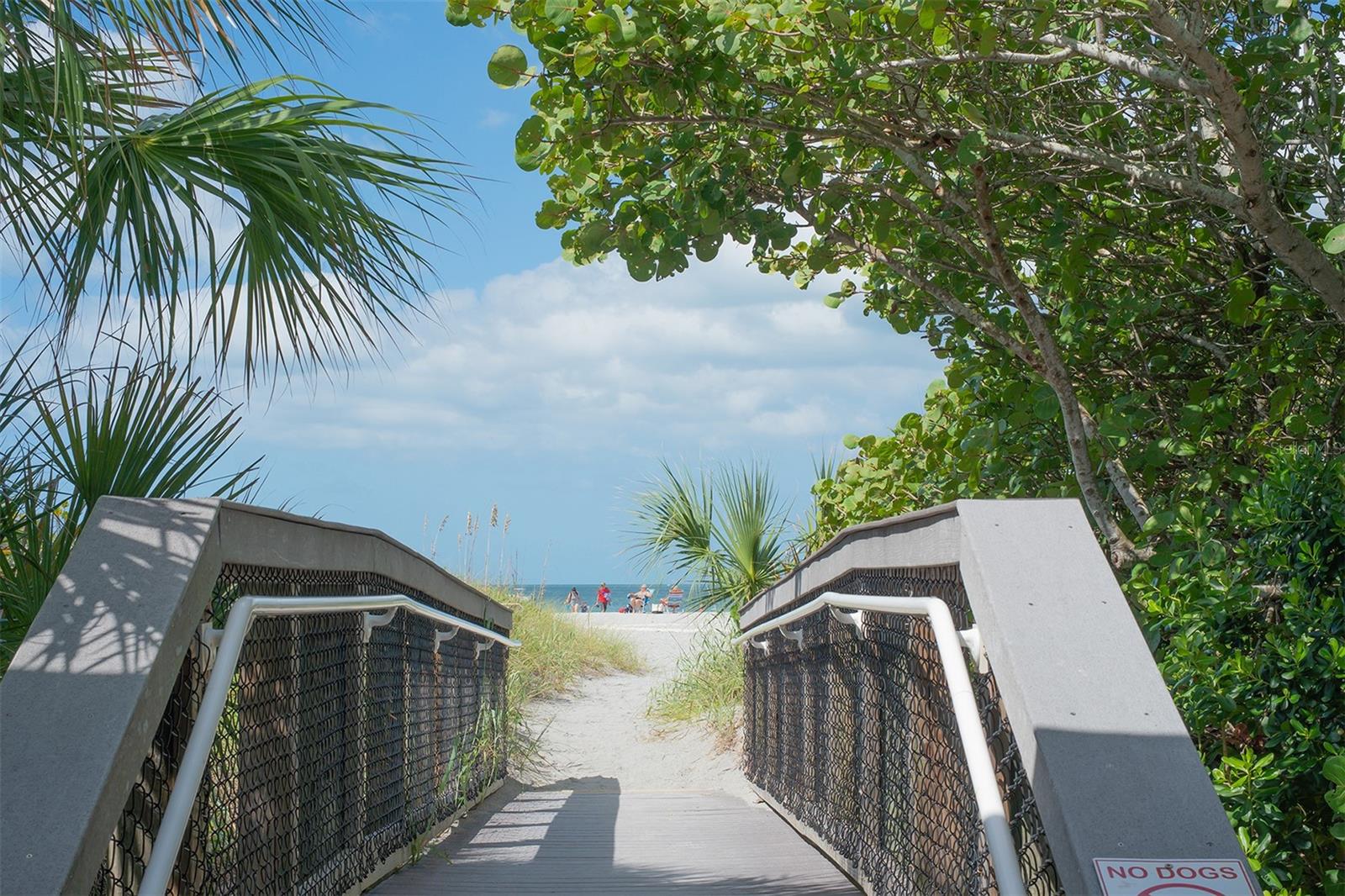 200 THE ESPLANADE  N #B22 — photo 38