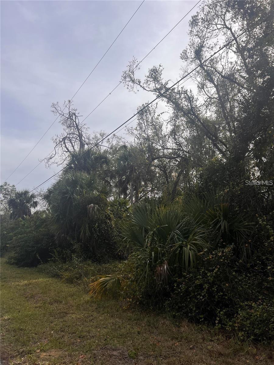 FIREBRAND RD — photo 3