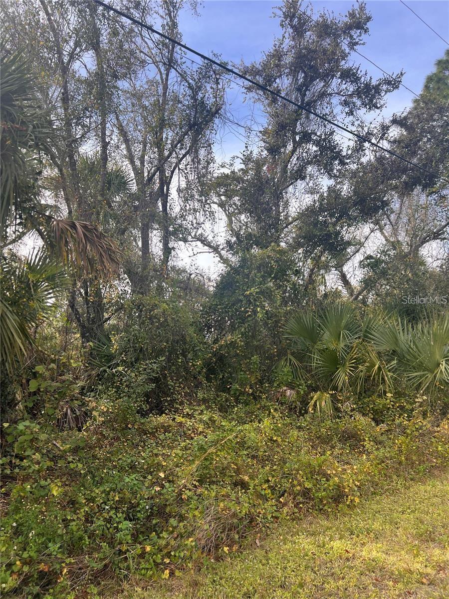 FIREBRAND RD — photo 2