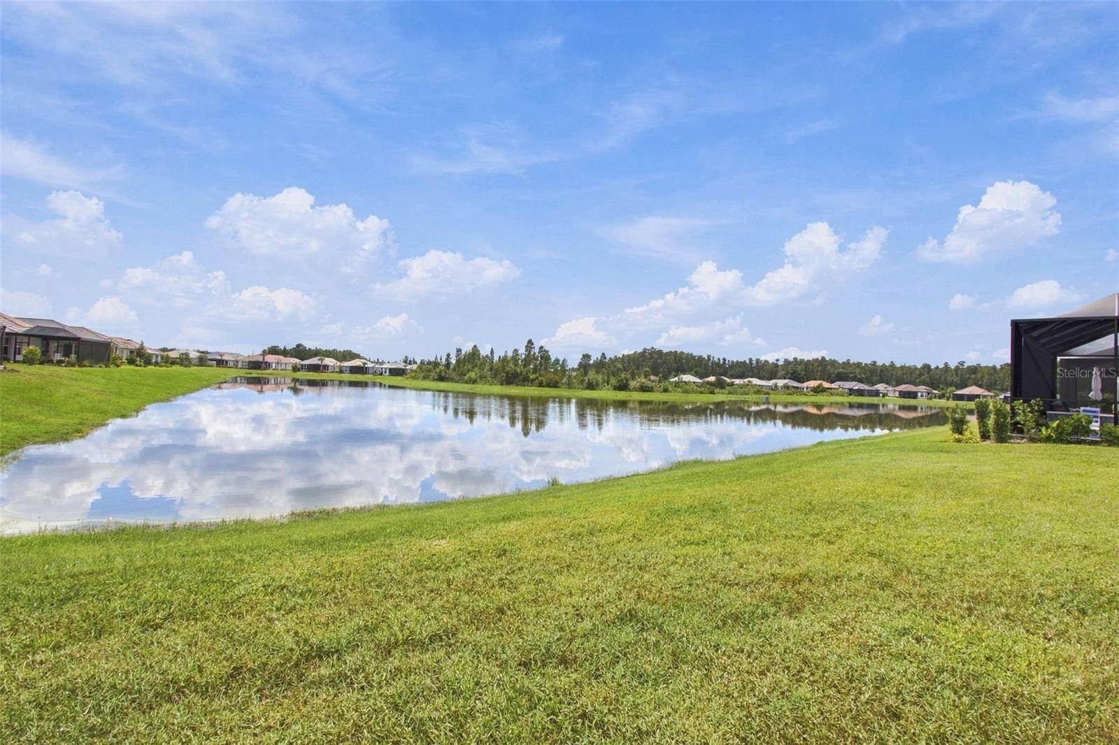 29596 TORICELLI RD — photo 62