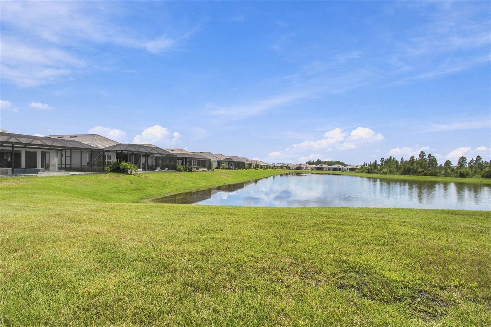 29596 TORICELLI RD — photo 54