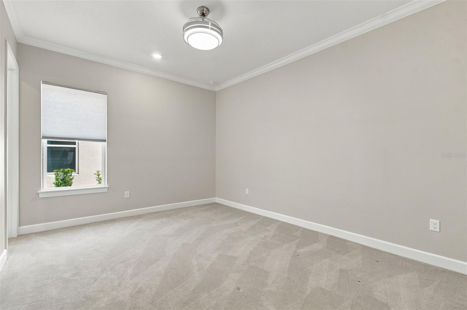 29596 TORICELLI RD — photo 39