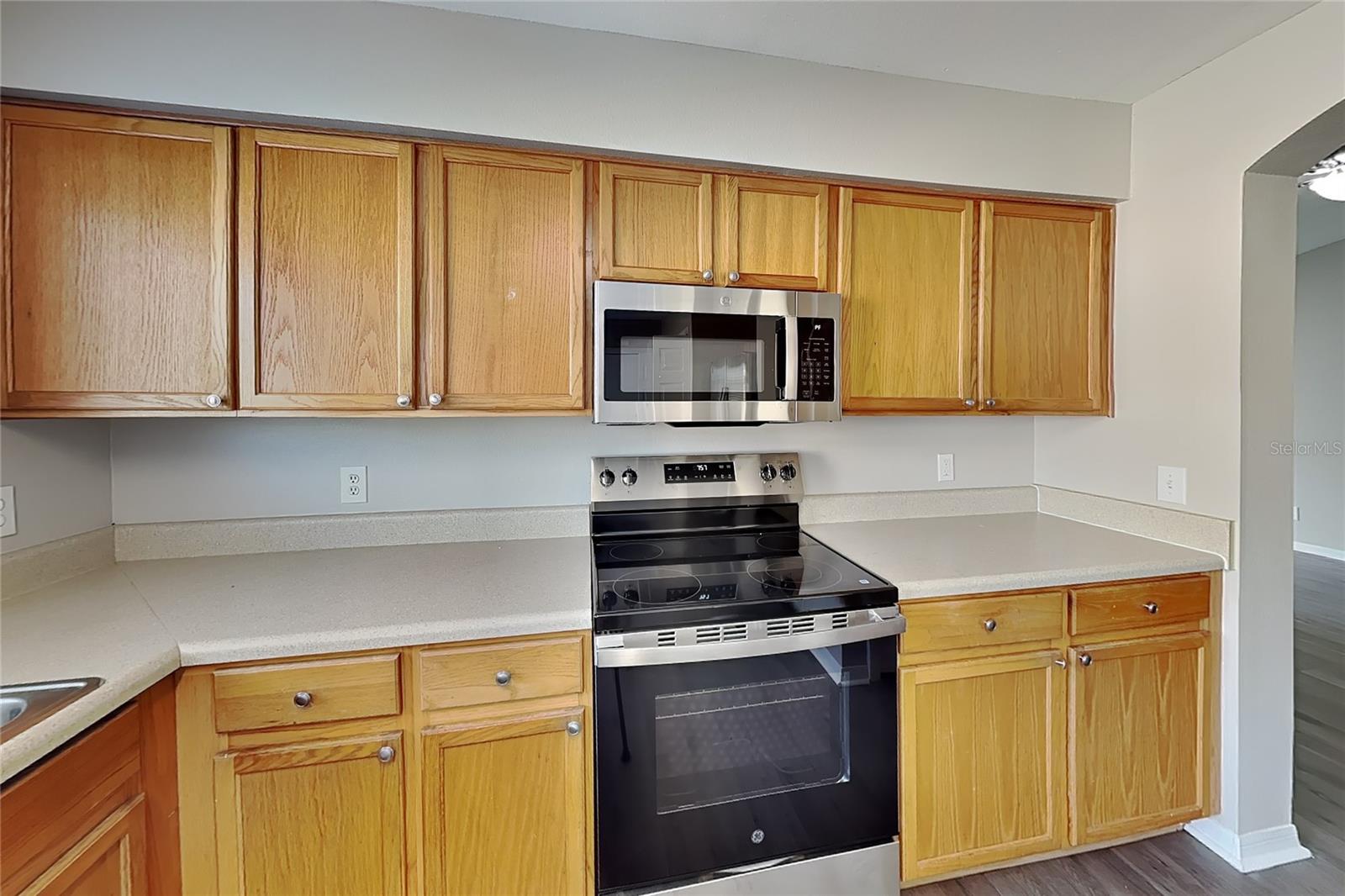 Home in RIVERVIEW — photo 4