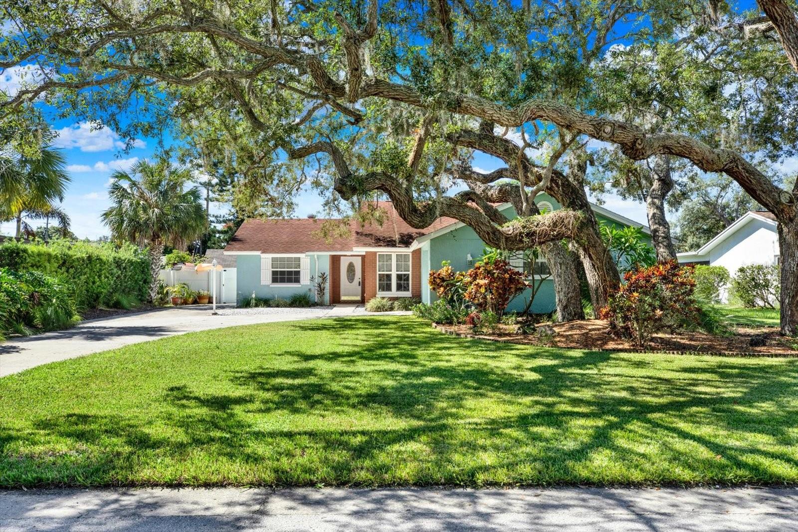 1601 AVOCA DR — photo 2