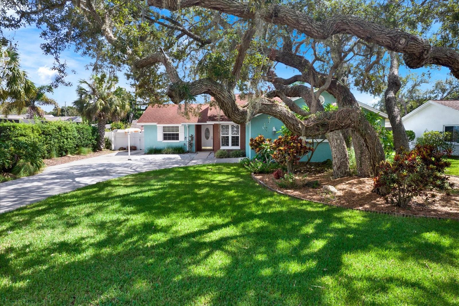 1601 AVOCA DR — photo 3