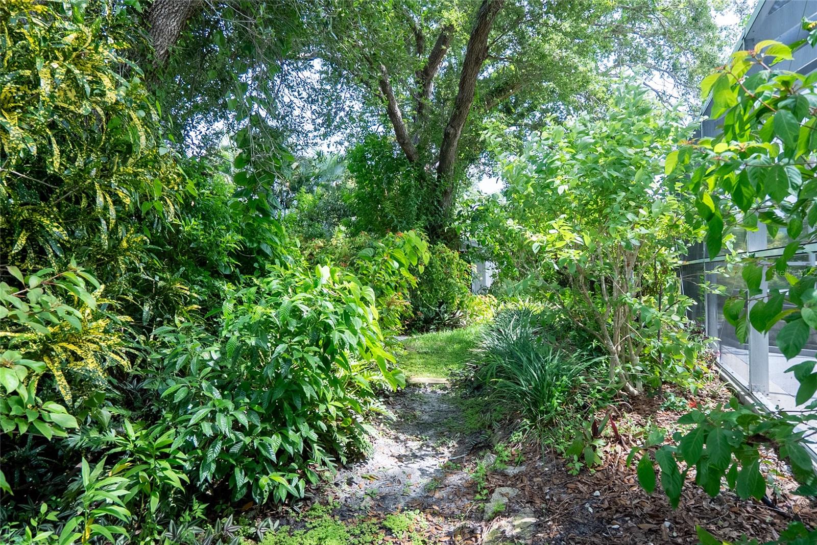 912 DAWN ST — photo 44