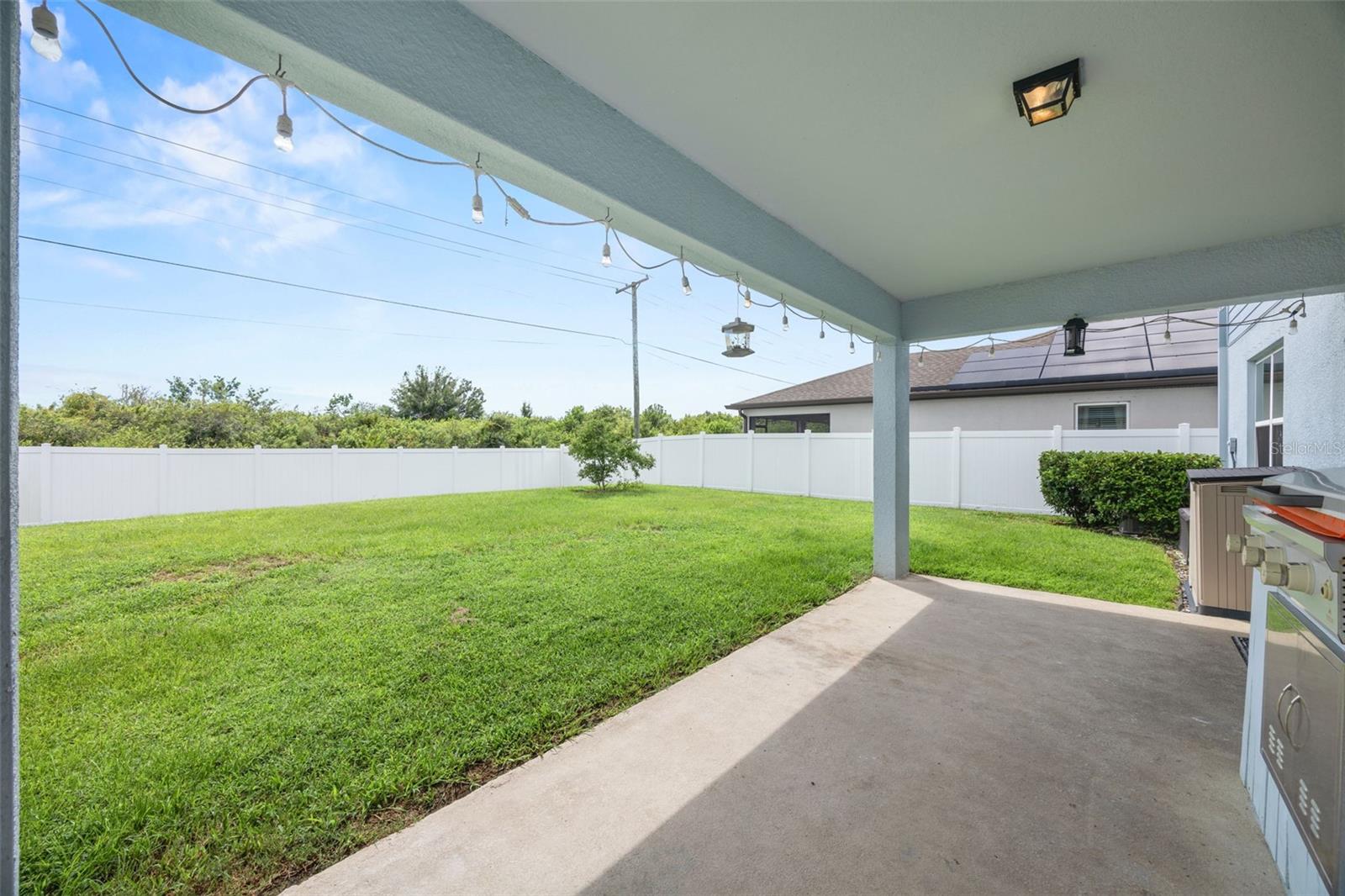 1007 GOLDEN SHINER AVE — photo 52