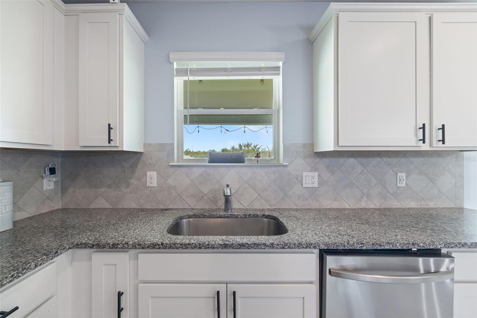 1007 GOLDEN SHINER AVE — photo 18