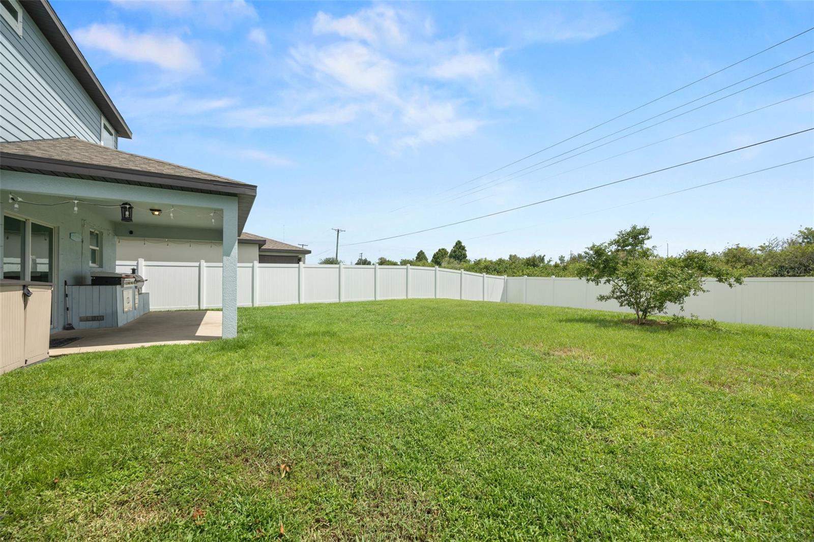 1007 GOLDEN SHINER AVE — photo 54