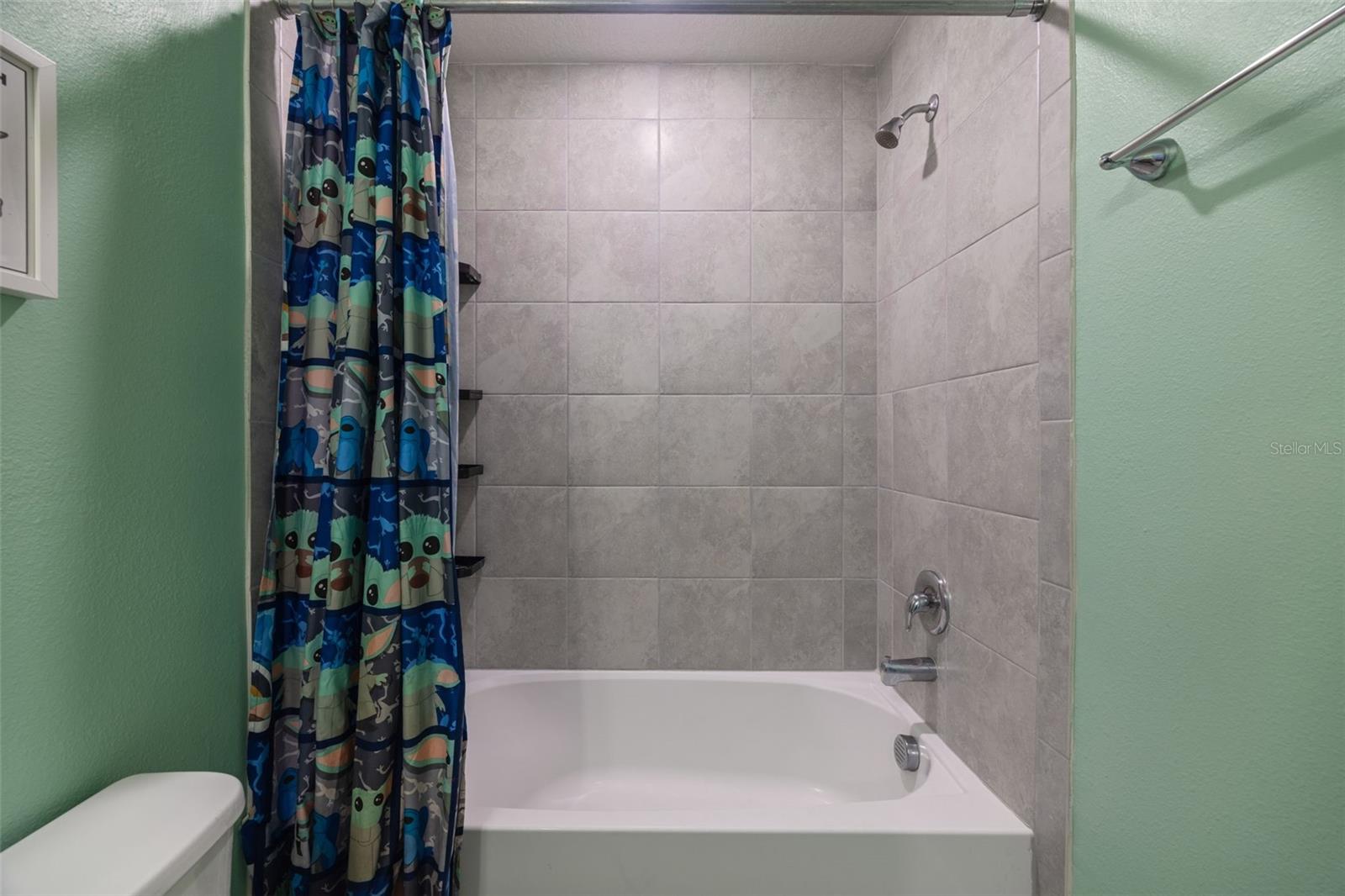 1007 GOLDEN SHINER AVE — photo 45