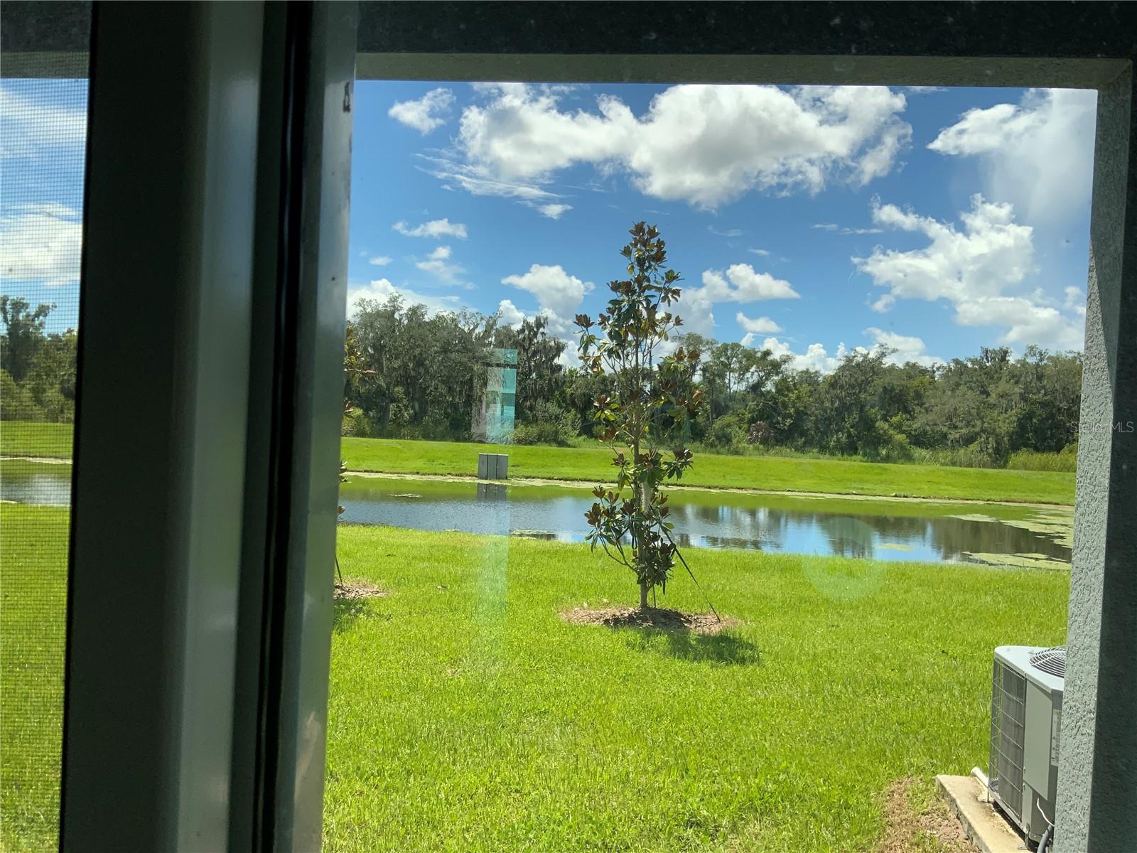 16621 GROTTO STEAM PL — photo 6