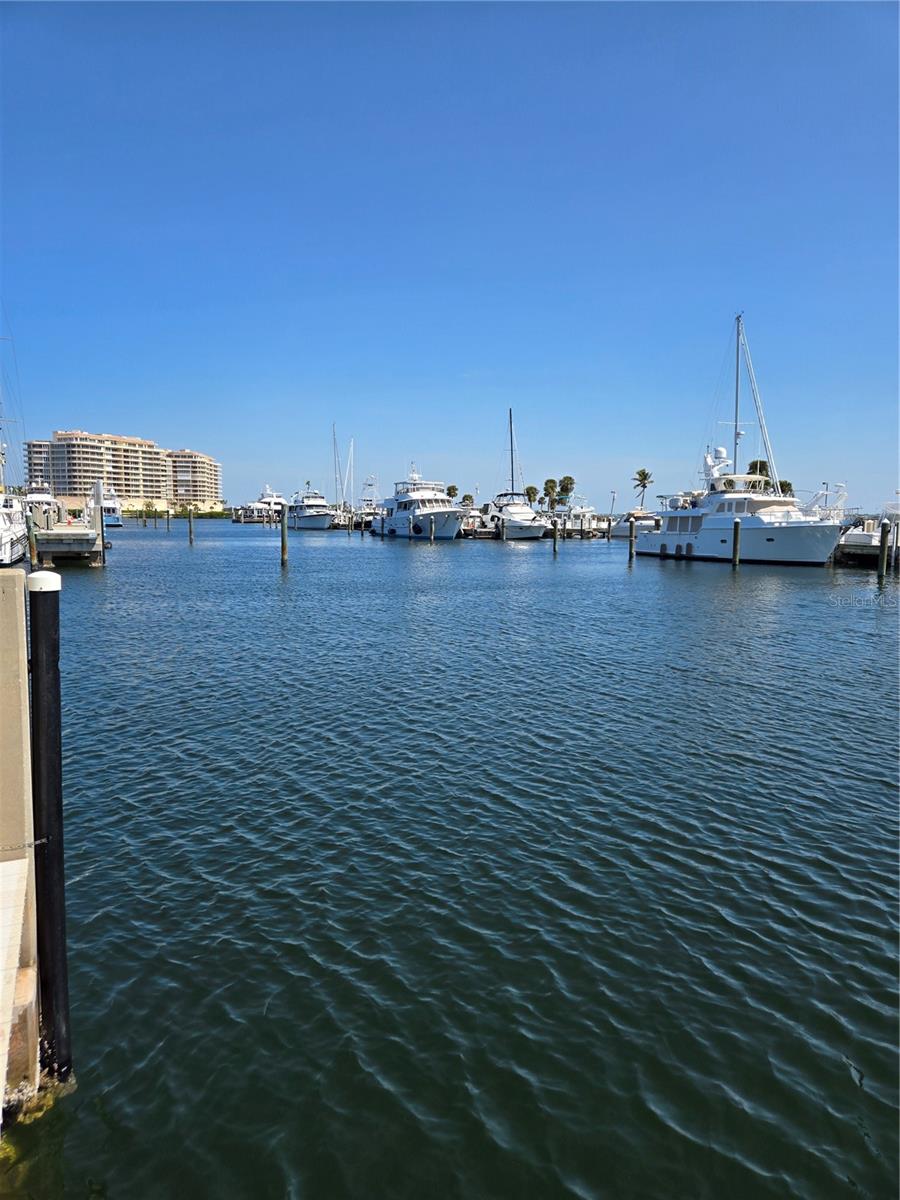 2800 HARBOURSIDE DRIVE DR #M-10 — photo 8