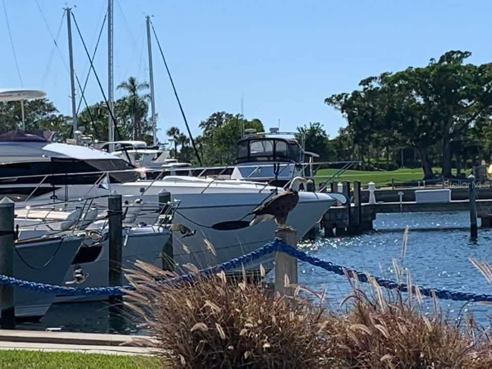 2800 HARBOURSIDE DRIVE DR #M-10 — photo 10