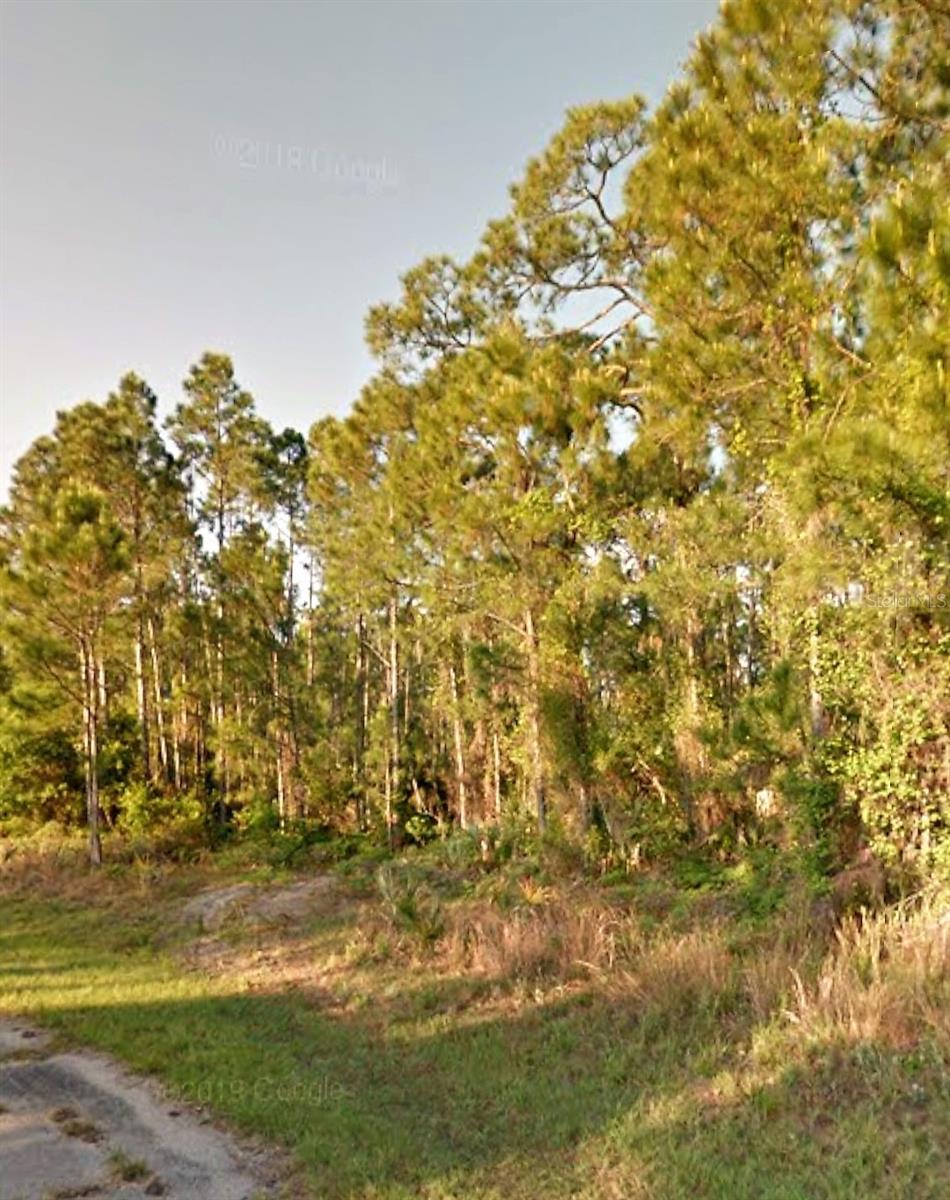 OLD WINE RD — photo 6