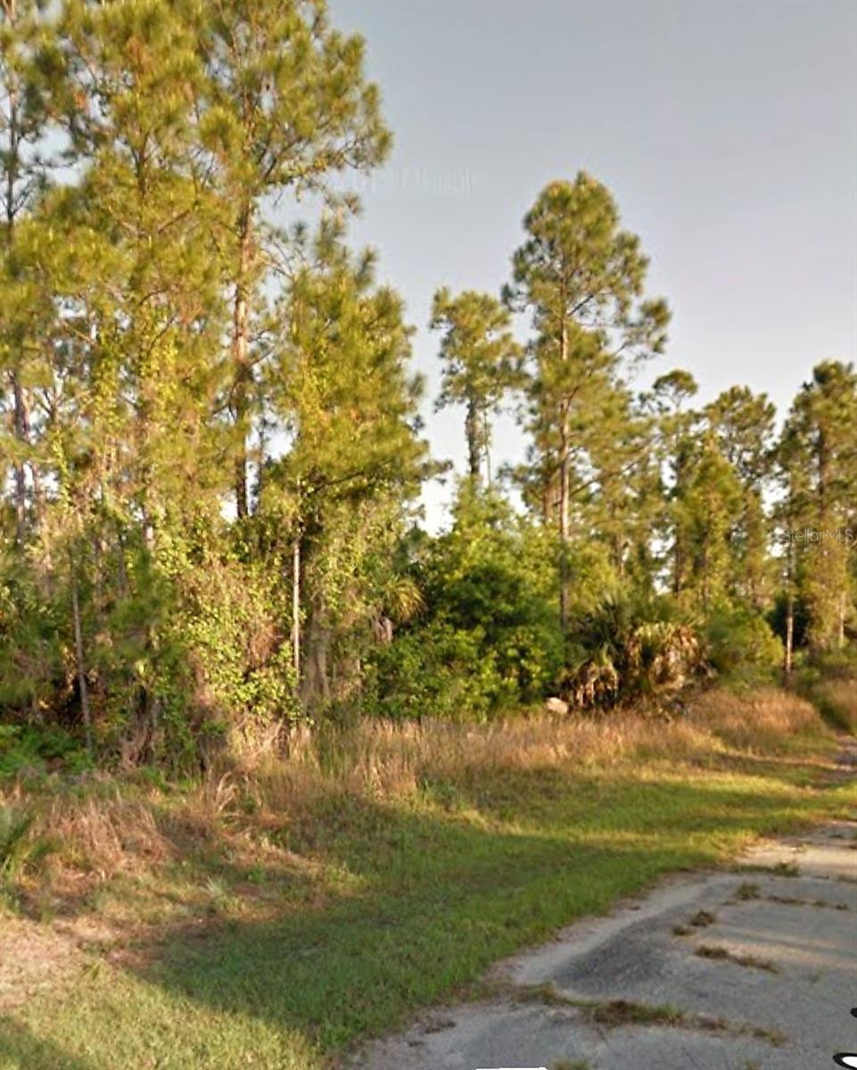 OLD WINE RD — photo 2