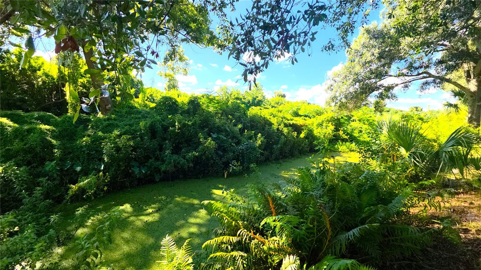 2529 INDIGO DR — photo 54