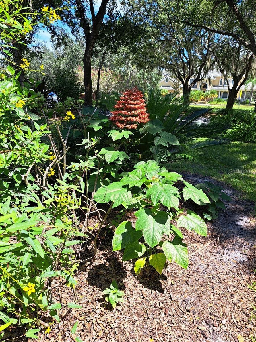 5316 LOCHMEAD TER — photo 47