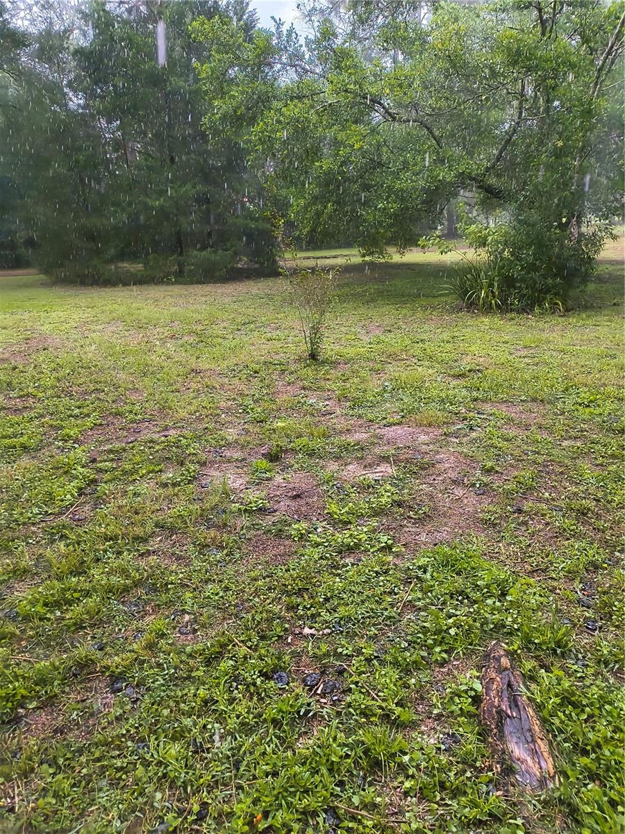 18250 CAUFIELD RD — photo 41
