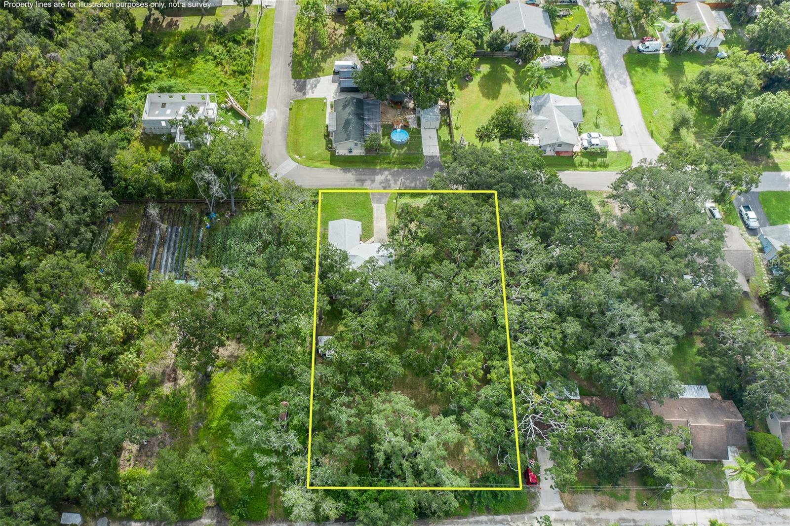 4715 NEEDLE PALM DR — photo 8