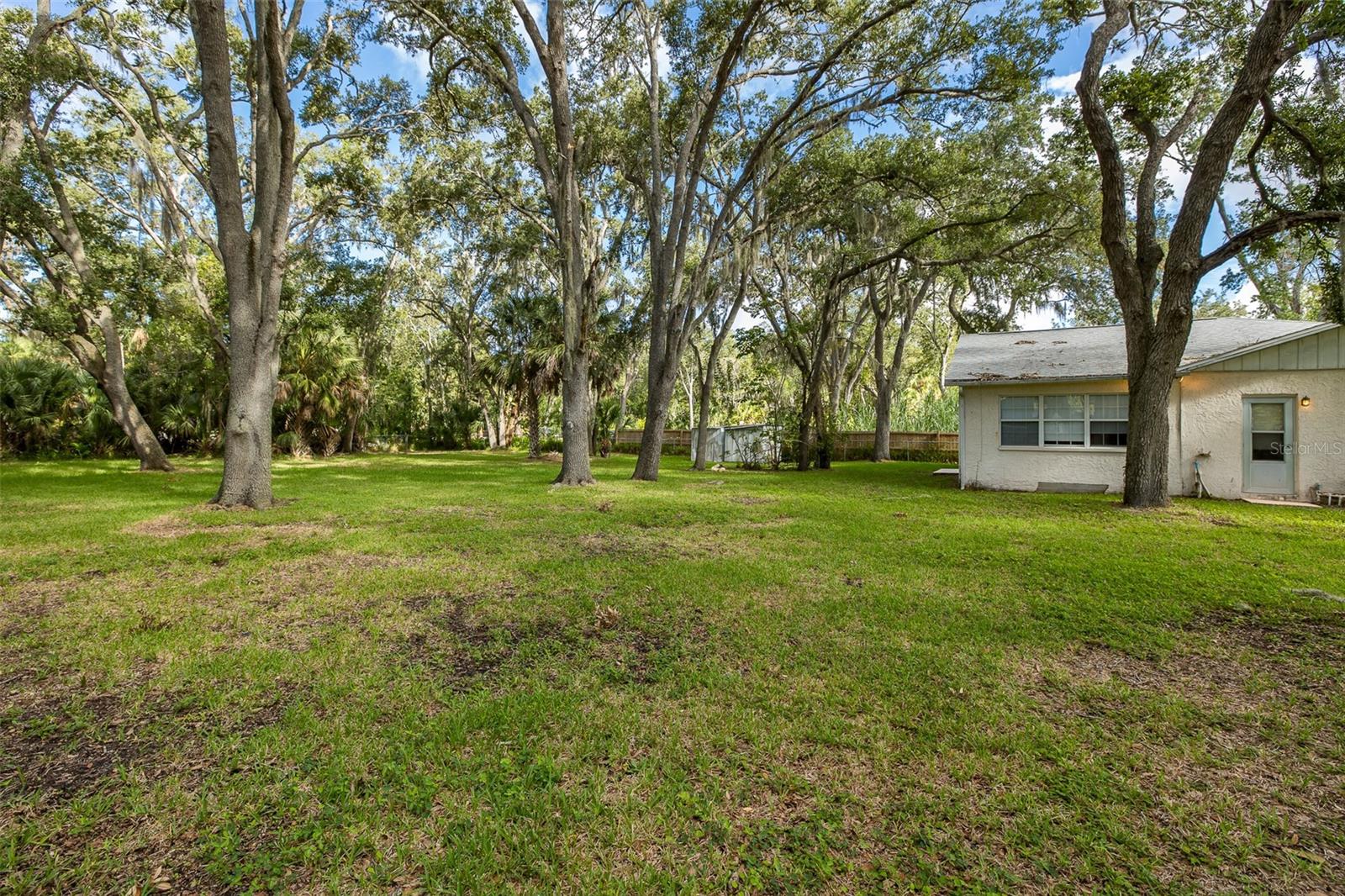4715 NEEDLE PALM DR — photo 53