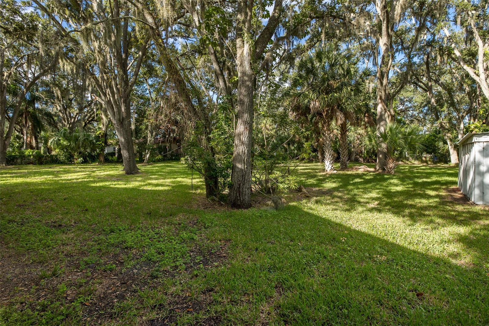 4715 NEEDLE PALM DR — photo 49