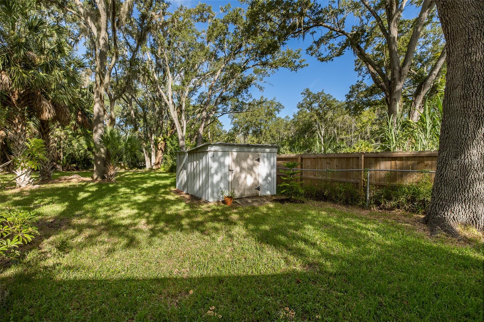 4715 NEEDLE PALM DR — photo 48