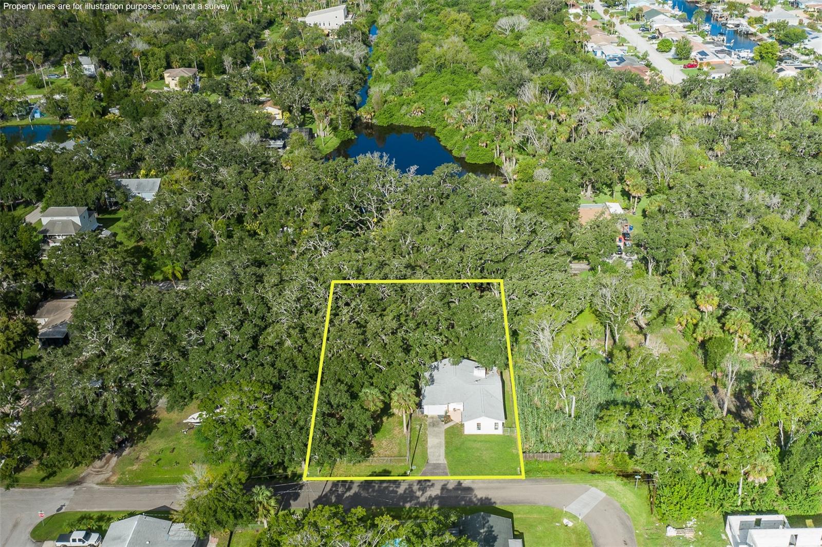 4715 NEEDLE PALM DR — photo 4