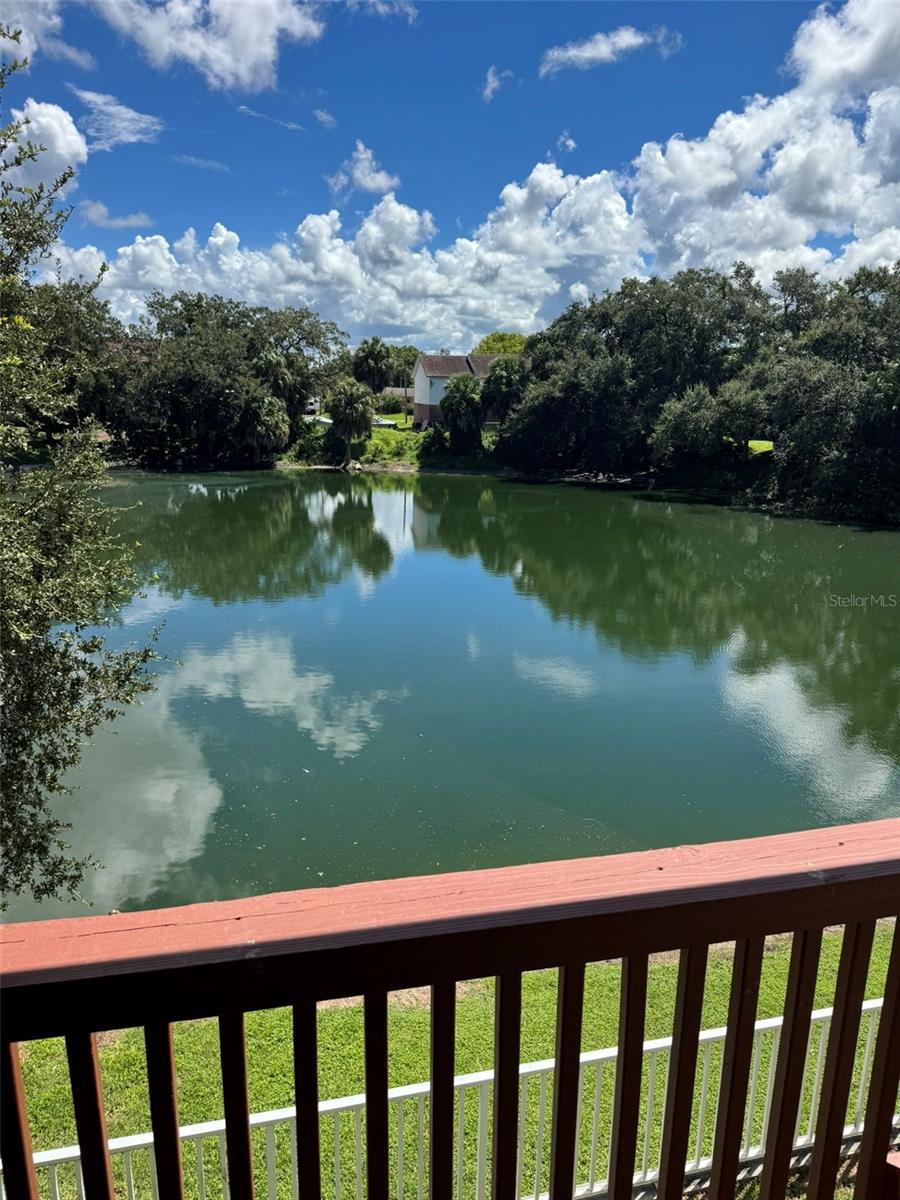 9004 SHALLOWFORD LN ##201 — photo 4