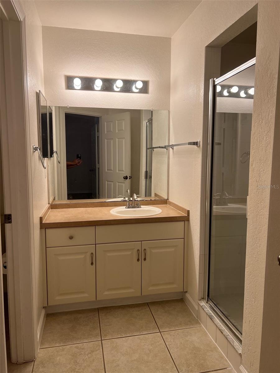 16311 PARKSTONE PALMS CT — photo 7