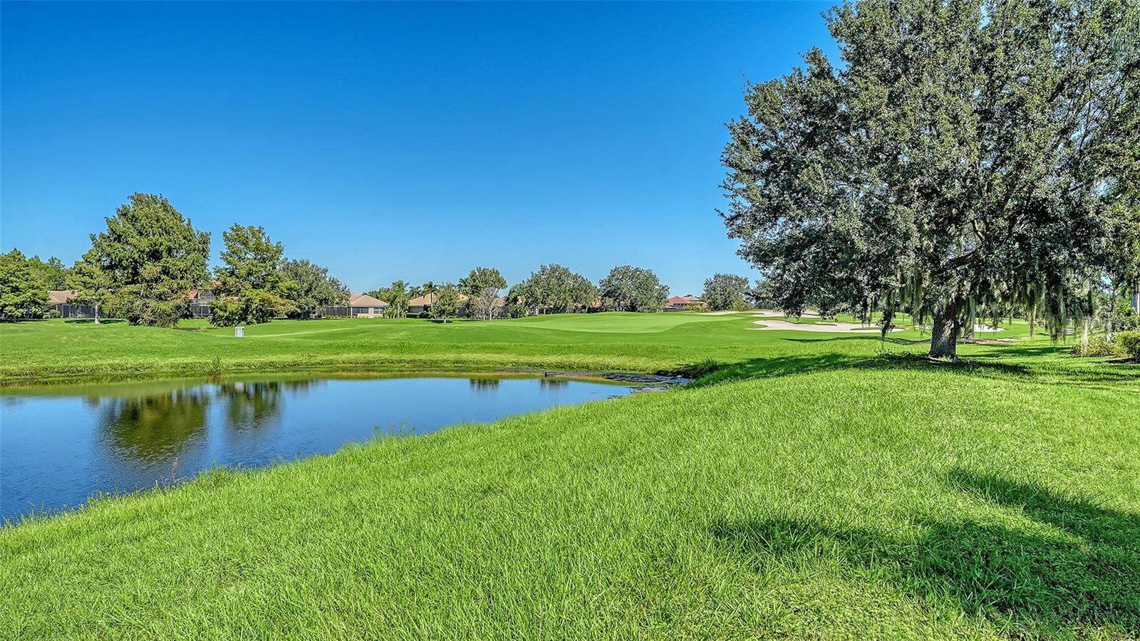 13978 SIENA LOOP — photo 46