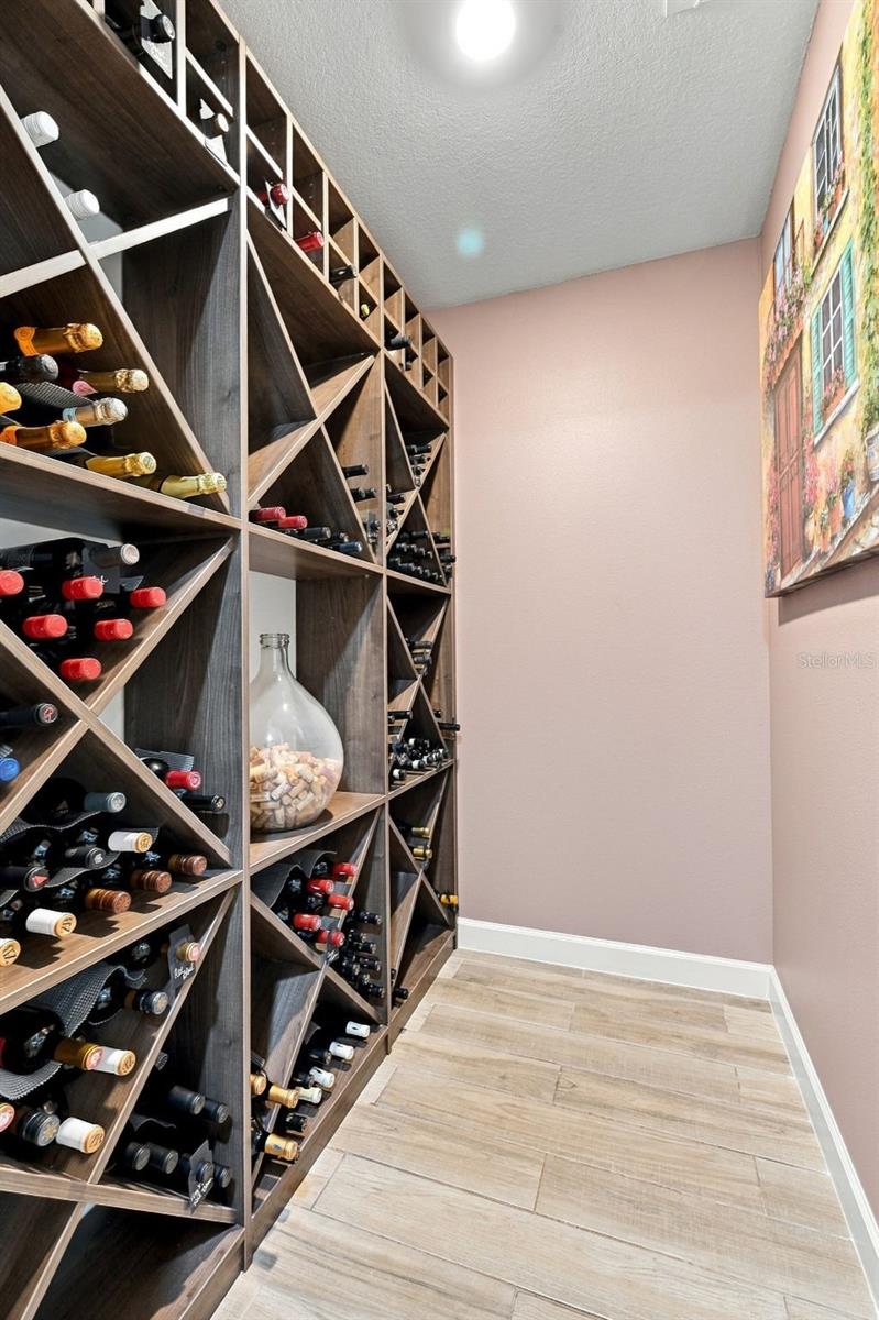 16909 CLEAR CORK DR — photo 17