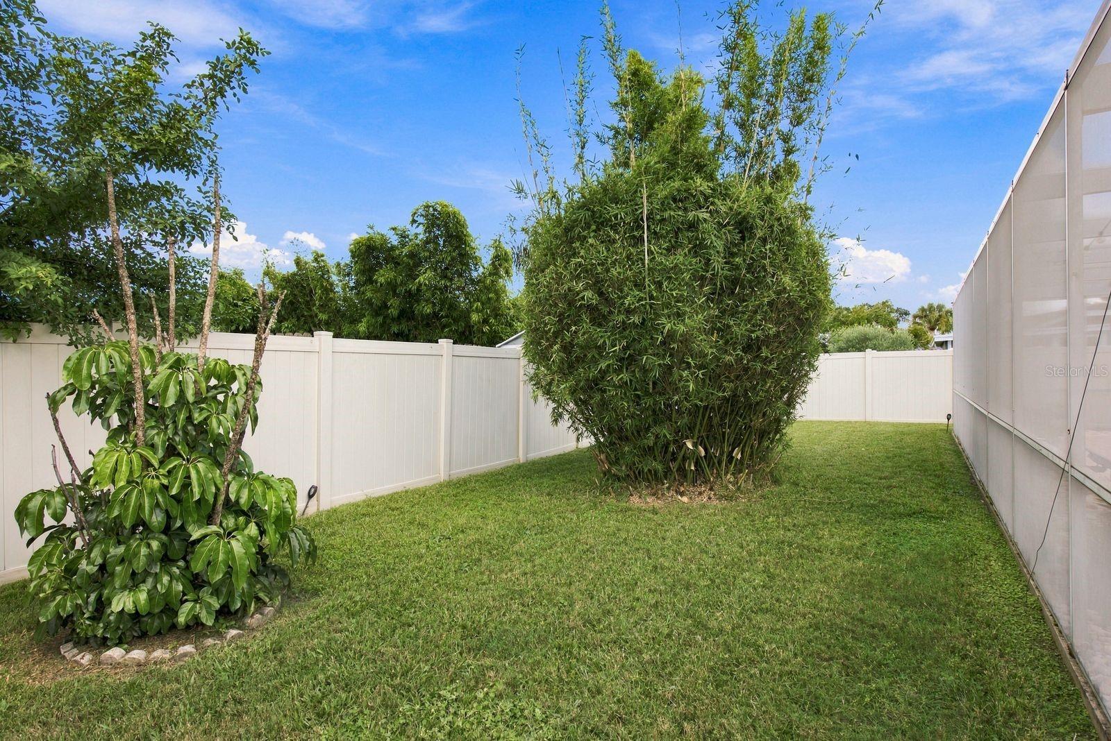 1806 DRIFTWOOD CIR S — photo 30