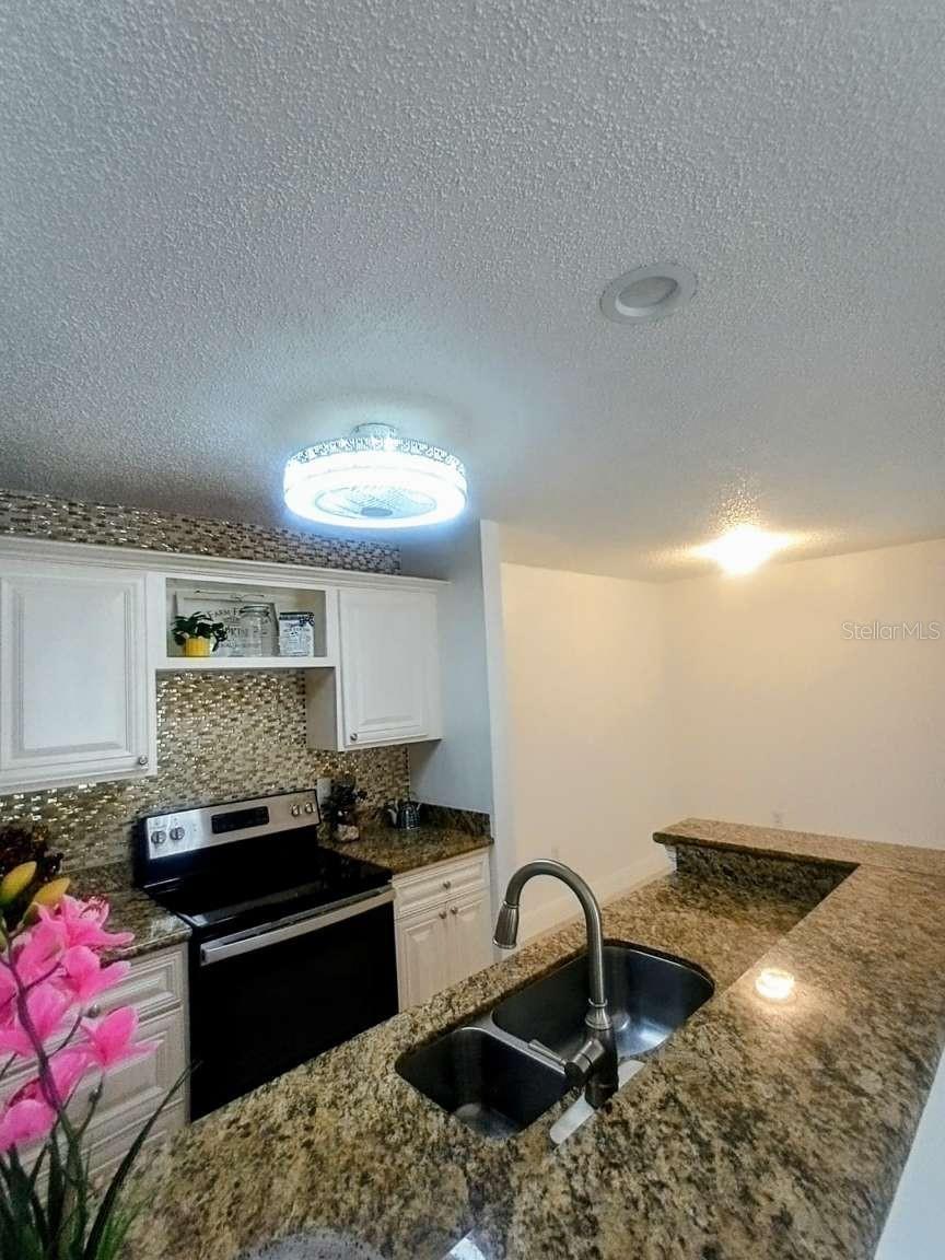 10024 STRAFFORD OAK CT #807 — photo 8