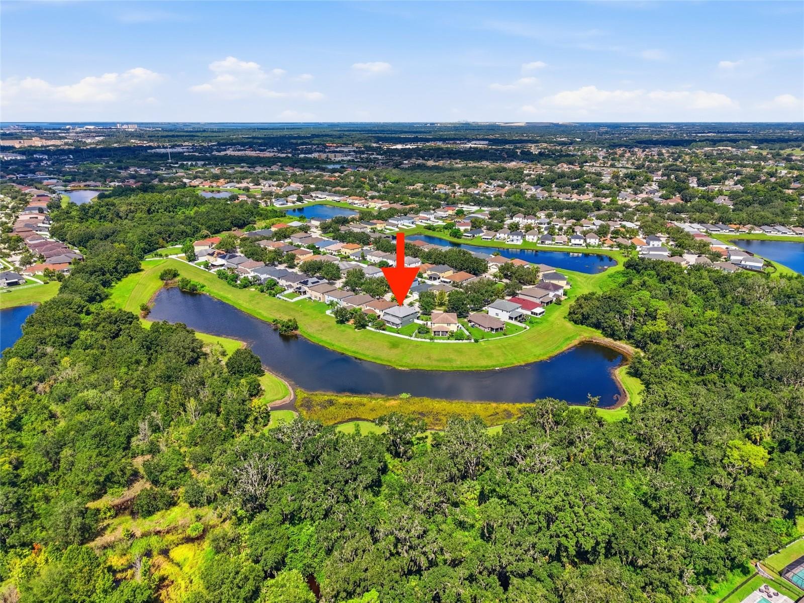 11139 GOLDEN SILENCE DR — photo 44