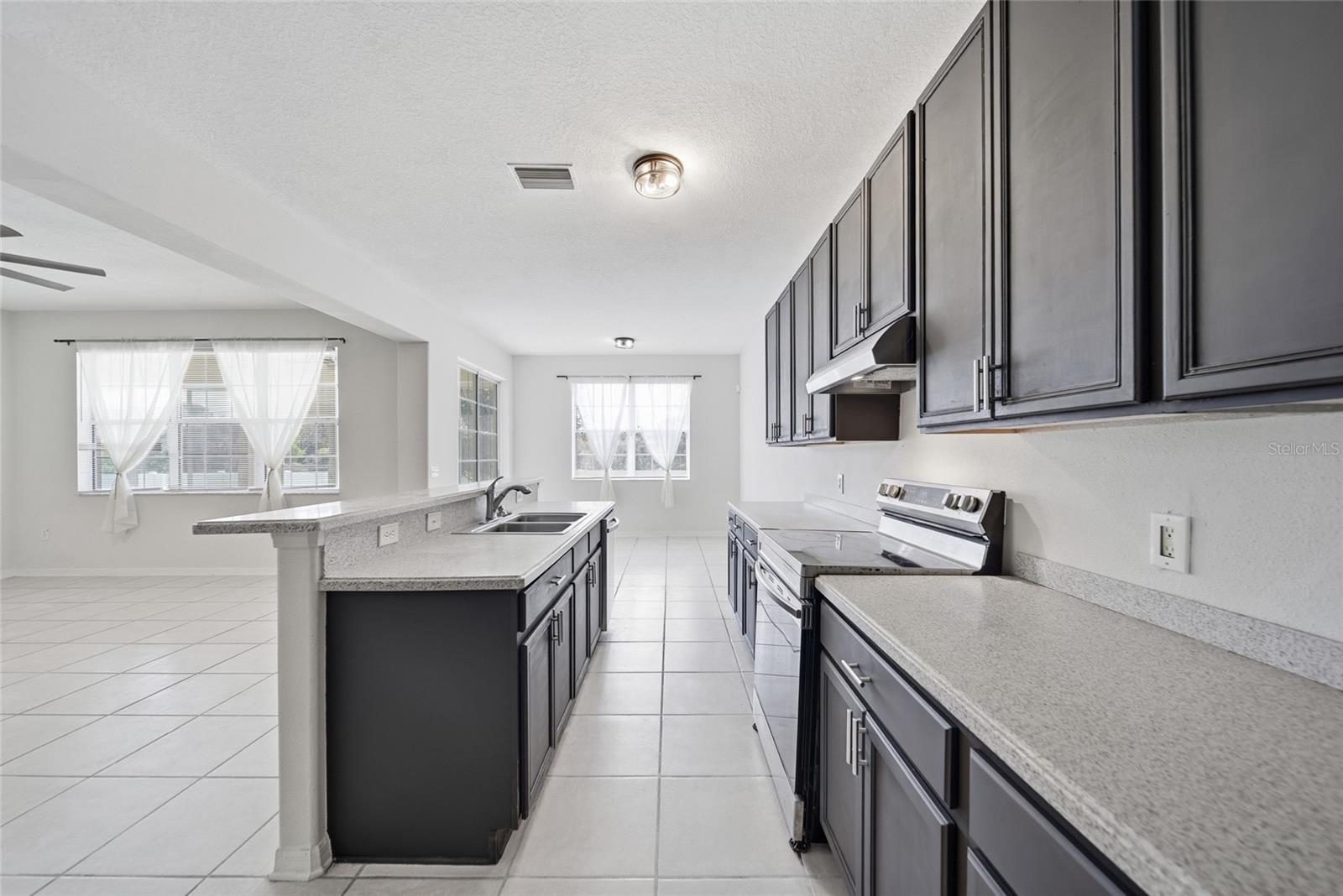 11139 GOLDEN SILENCE DR — photo 14