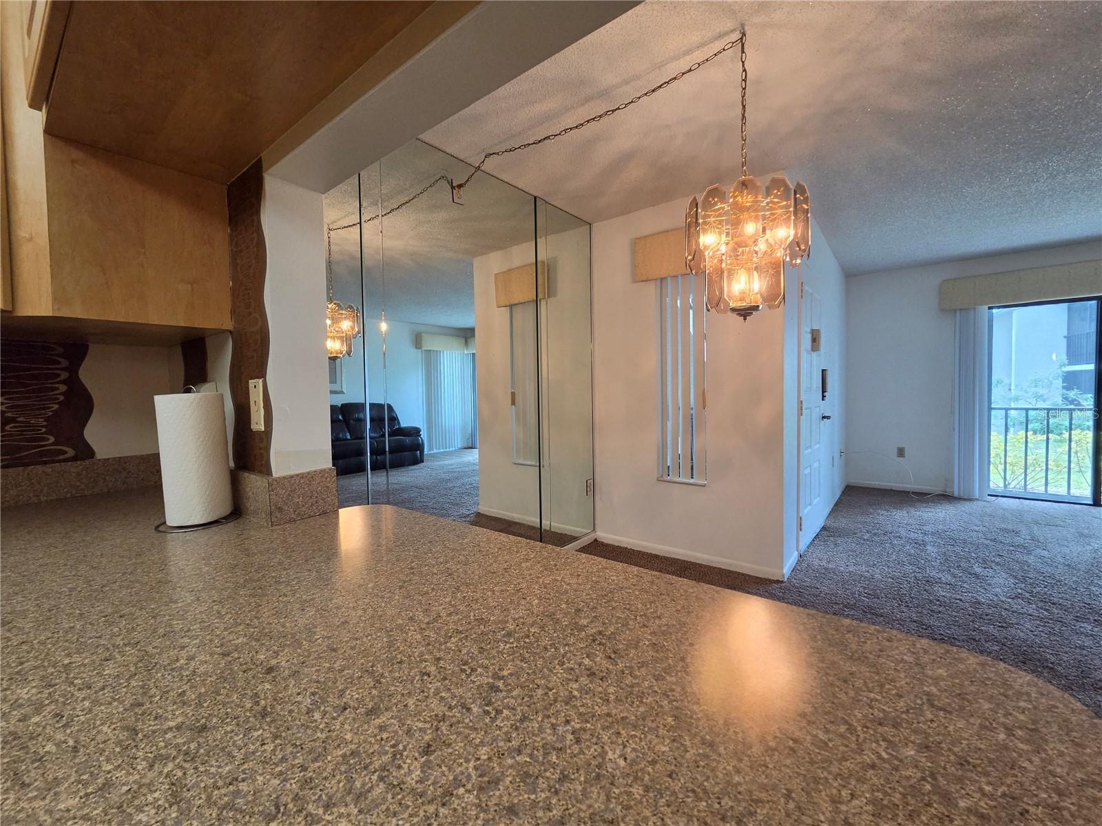 1700 PINE RIDGE WAY E #C1 — photo 13