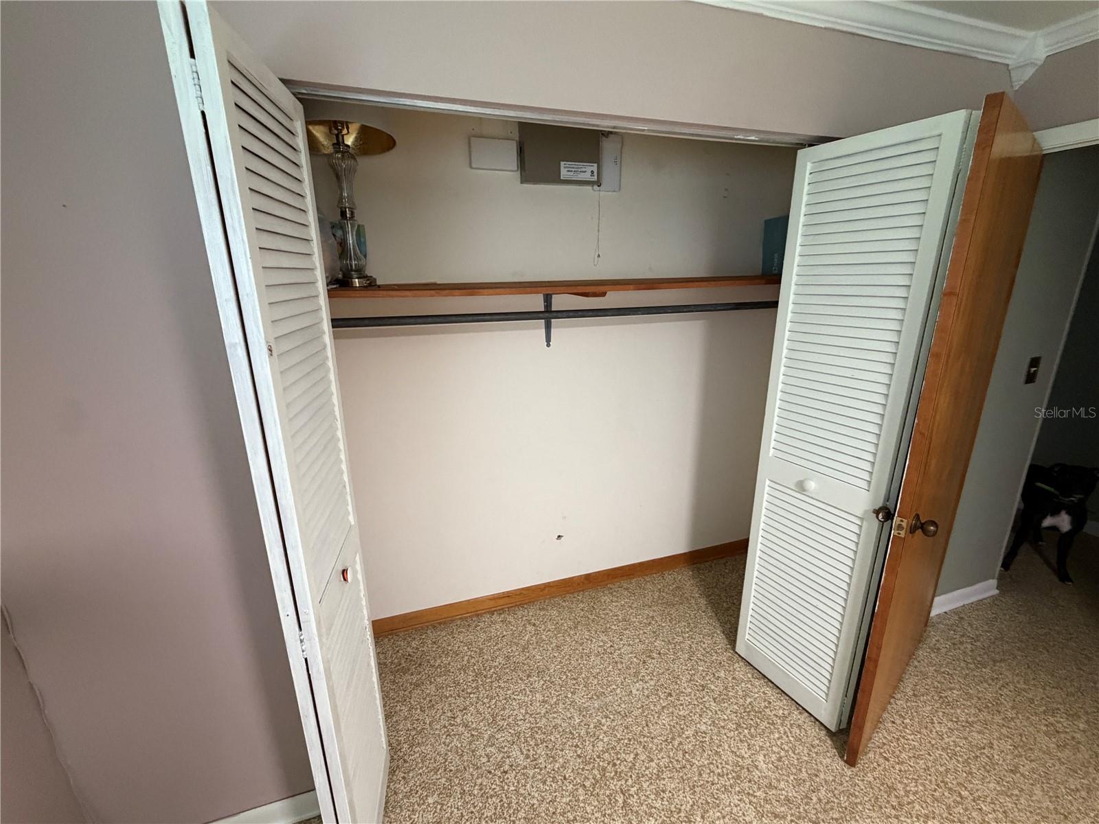 3933 ALLEN RD — photo 28