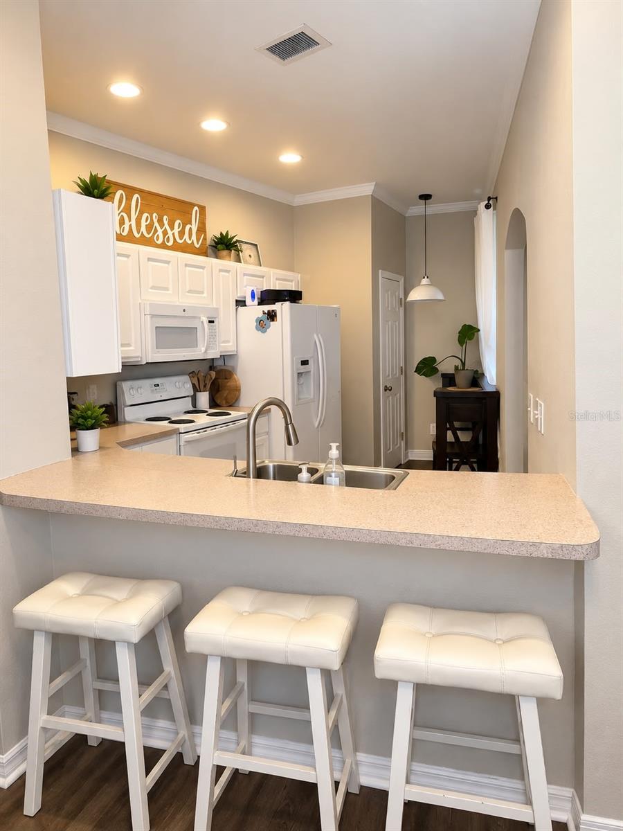 11180 WINDSOR PLACE CIR — photo 13