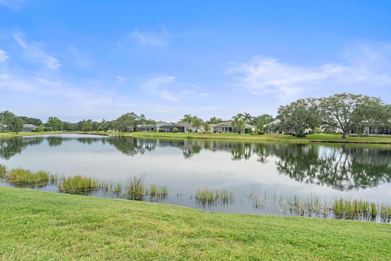 11915 CLUBHOUSE DR — photo 49