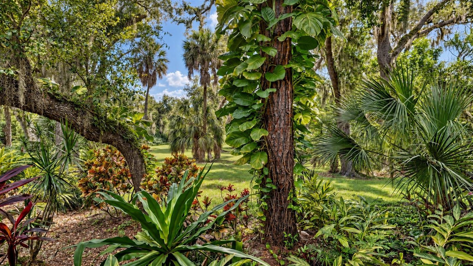 3477 HADFIELD GREENE #2 — photo 4