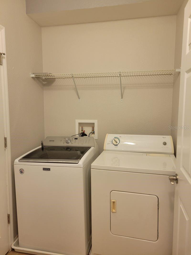 5525 WHITE MARLIN CT — photo 35