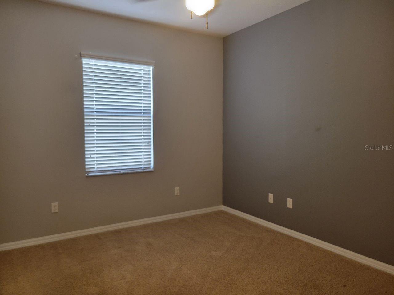 5525 WHITE MARLIN CT — photo 29