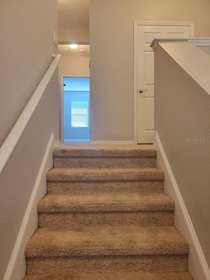5525 WHITE MARLIN CT — photo 20