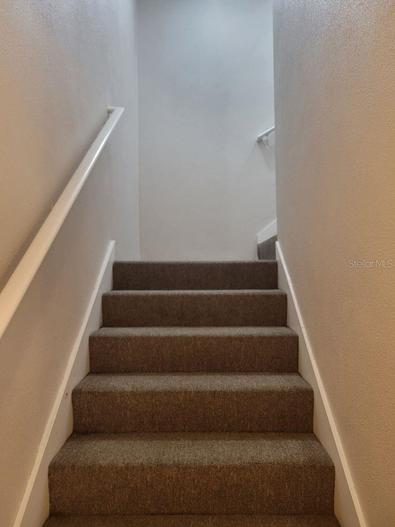 5525 WHITE MARLIN CT — photo 7
