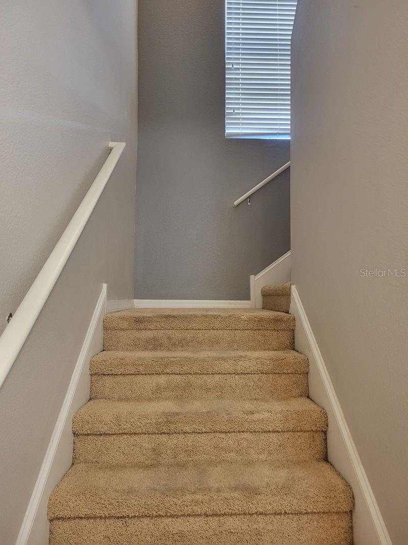 5525 WHITE MARLIN CT — photo 19