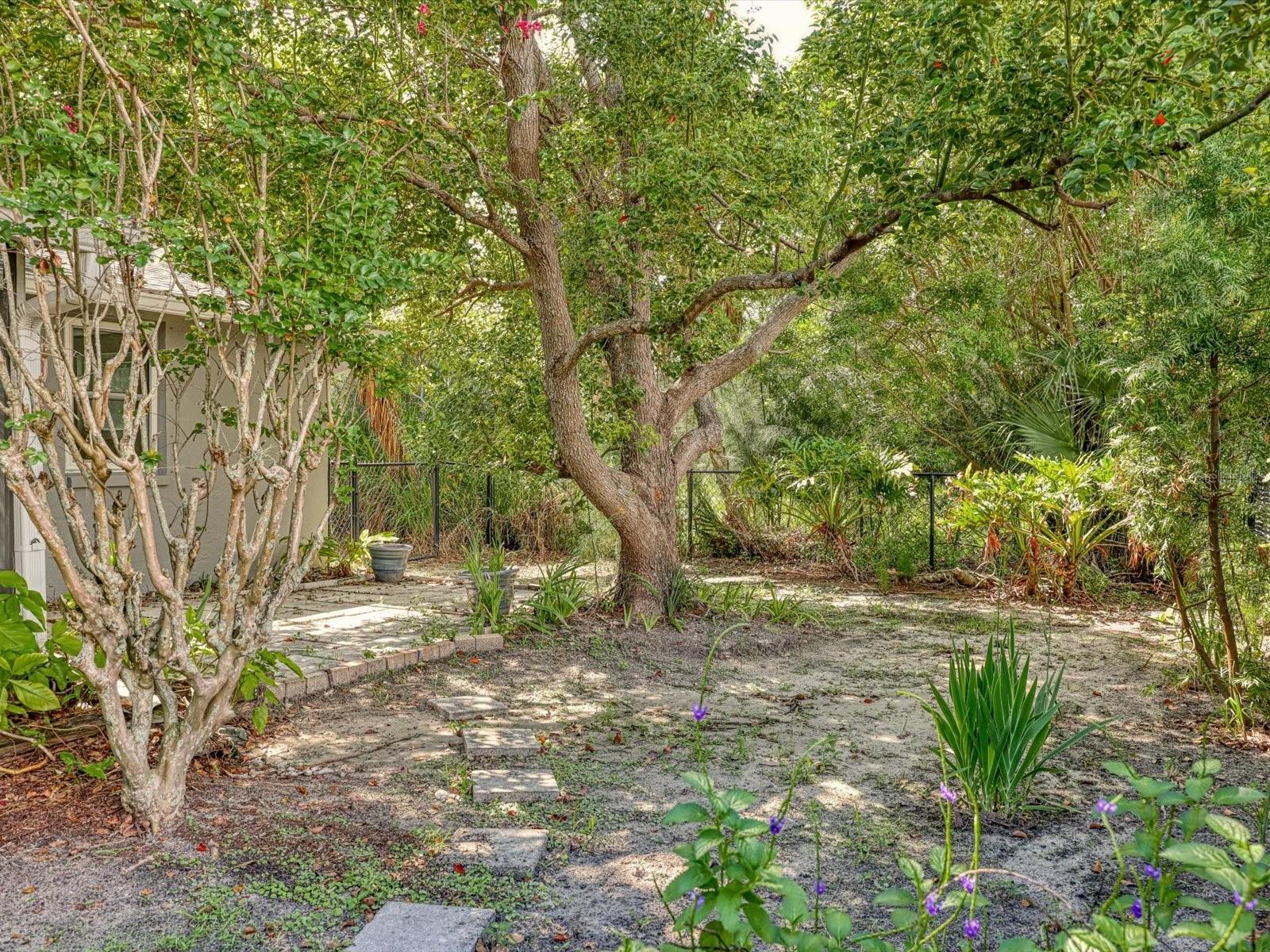 6002 FIREFLY LN — photo 58