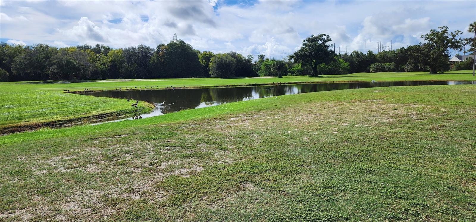 16 COUNTRY CLUB DR #16 — photo 56