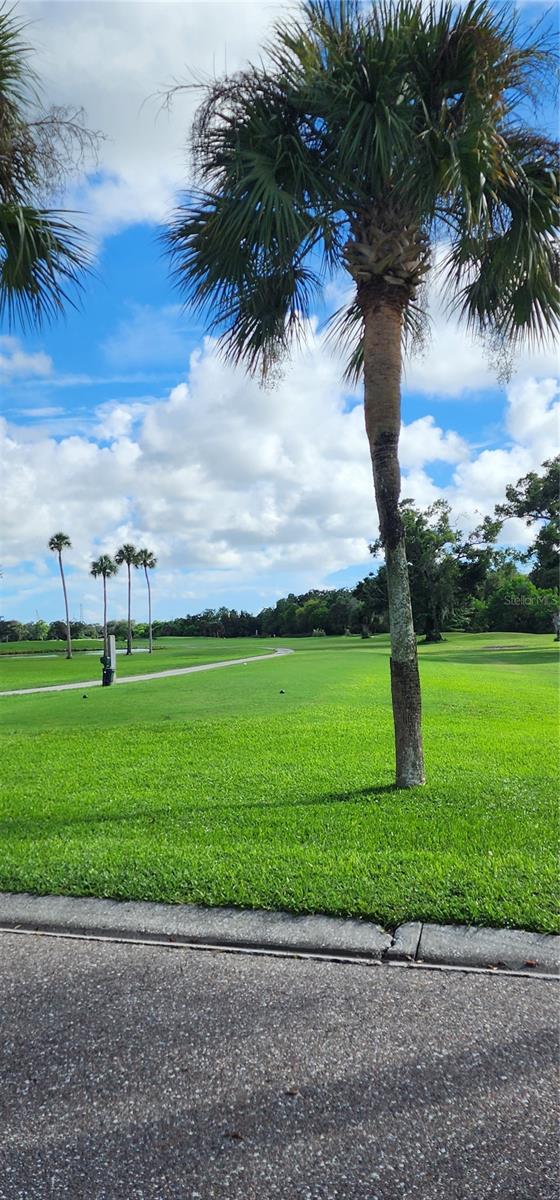16 COUNTRY CLUB DR #16 — photo 54