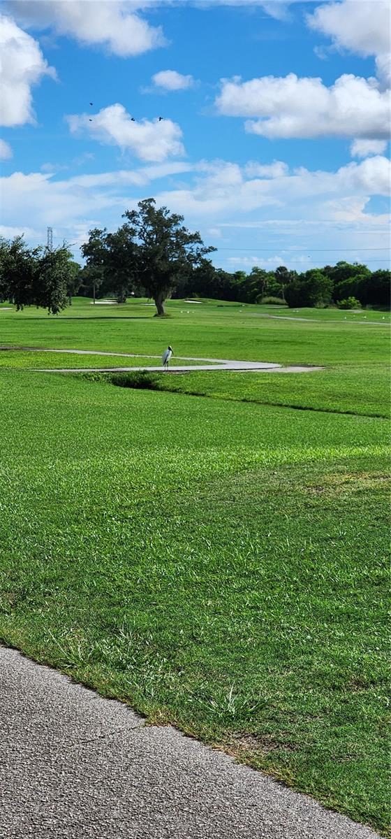 16 COUNTRY CLUB DR #16 — photo 57
